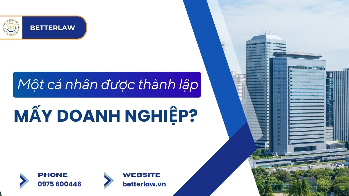 Một cá nhân được thành lập bao nhiêu doanh nghiệp?